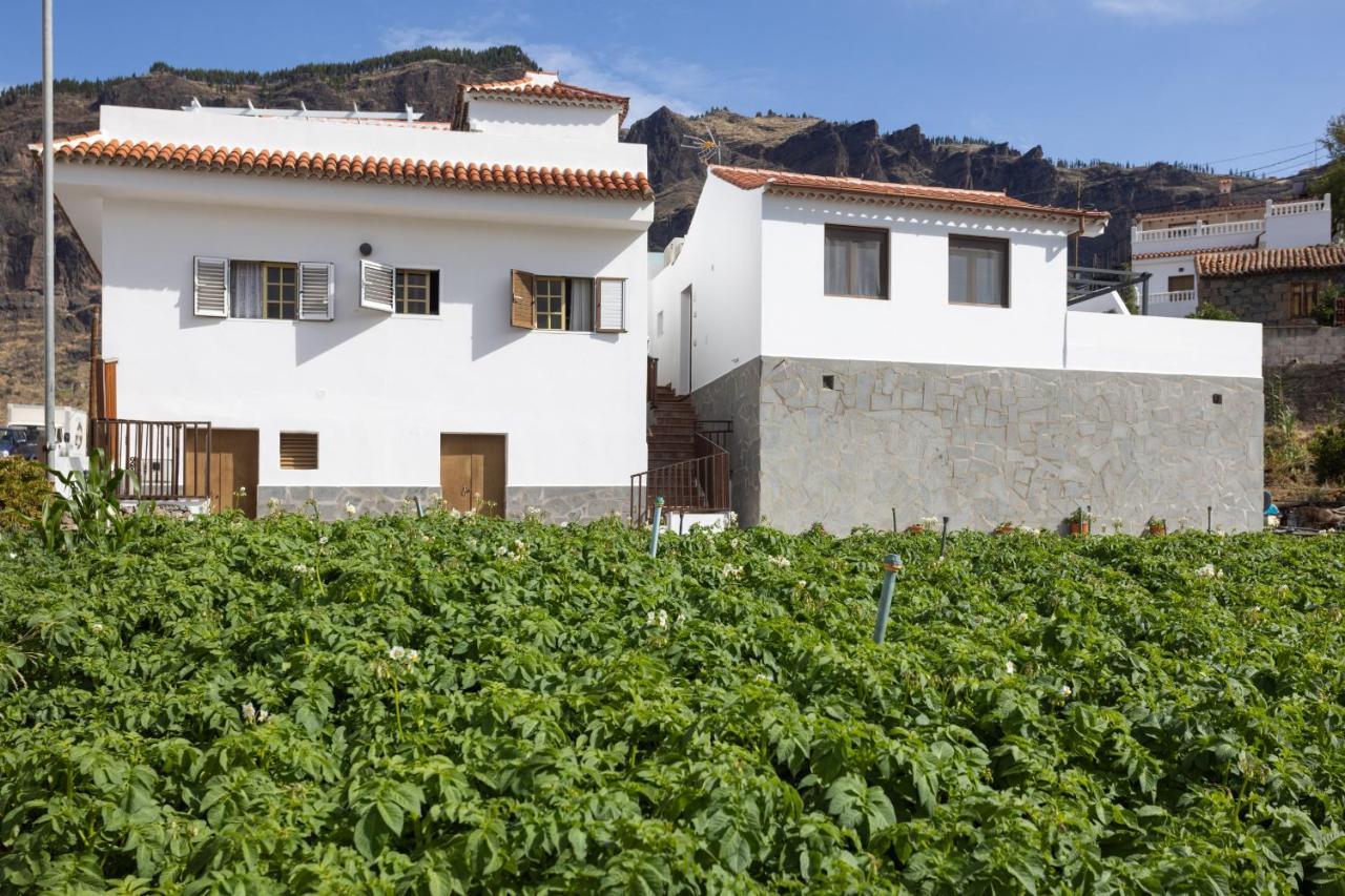Casa Maria With Roque Nublo View Apartamento Tejeda (Gran Canaria)